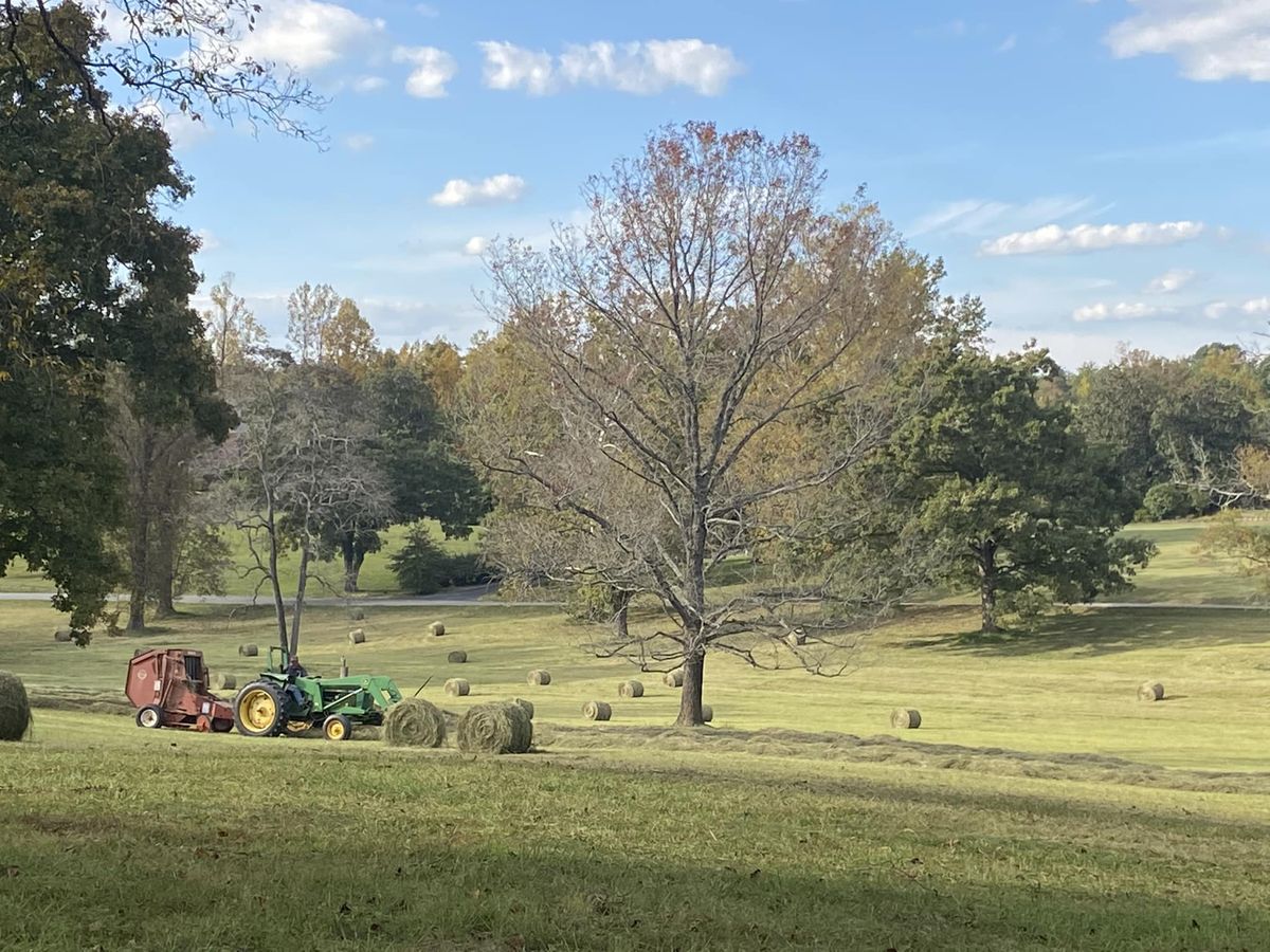 Green tractor baling hay on sprawling pastoral fields with autumn trees under blue sky