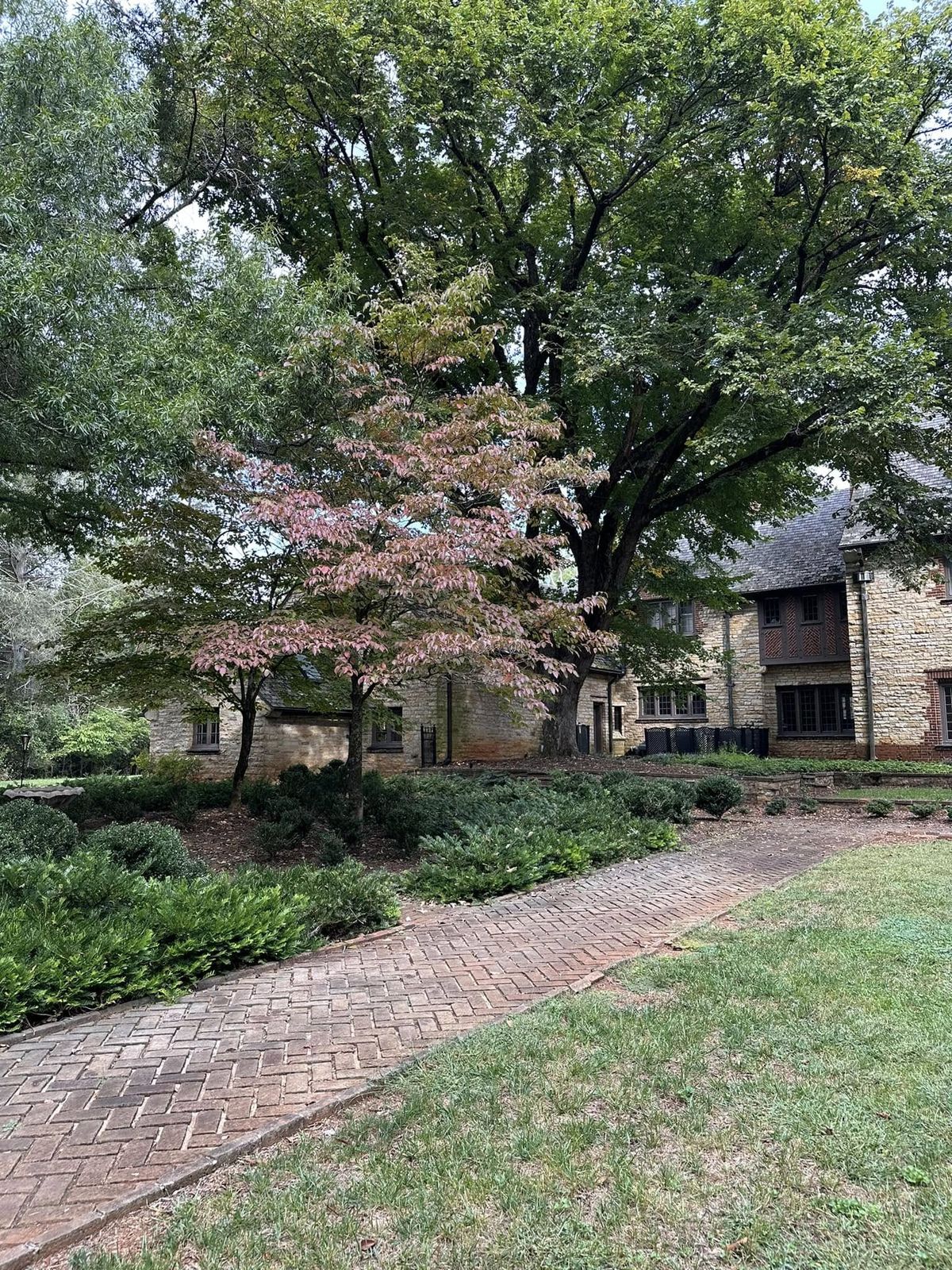 Herringbone brick walkway leading toward stone mansion with pink-leafed dogwood tree