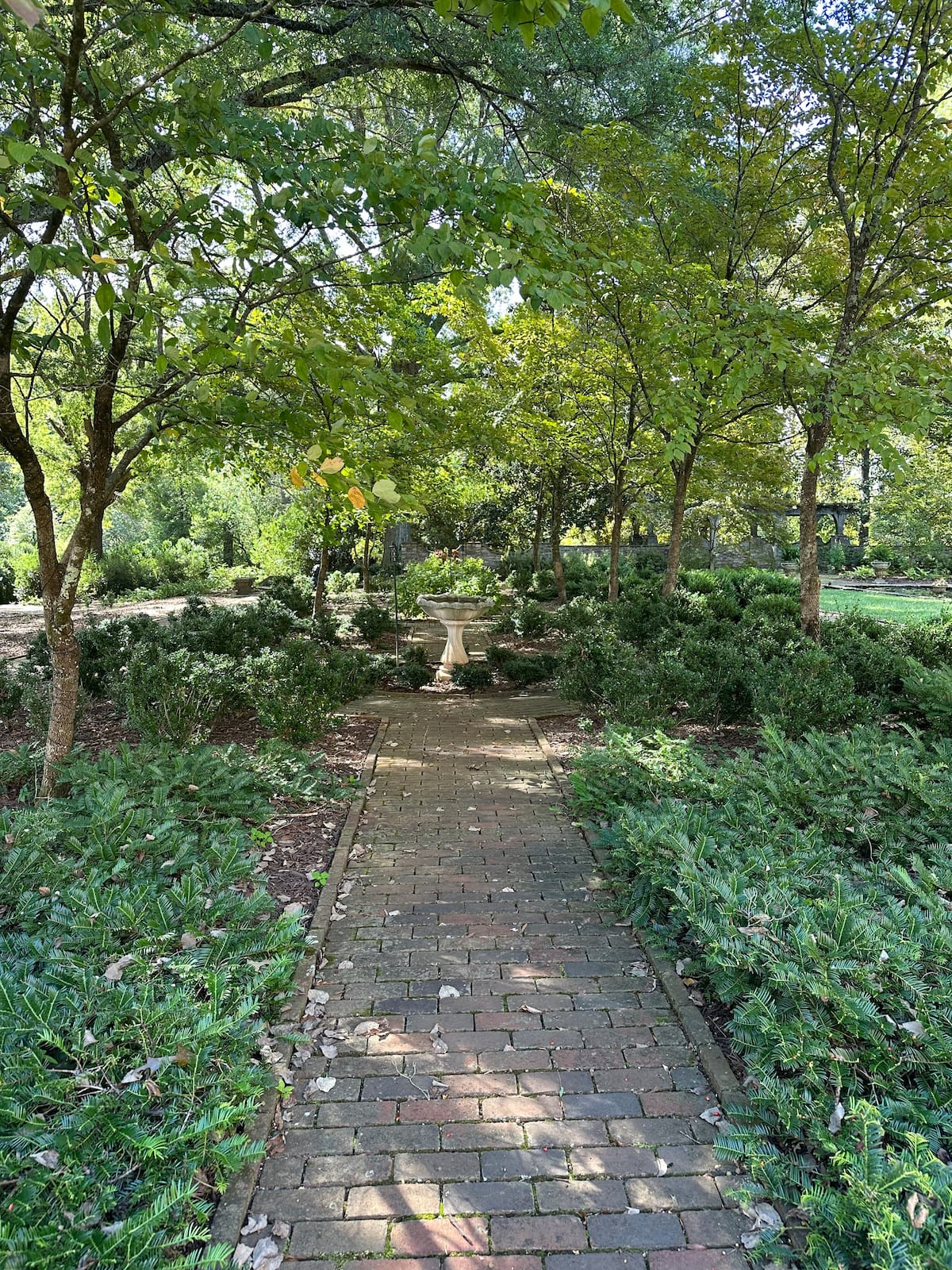 Shaded brick garden pathway with birdbath and fern groundcover