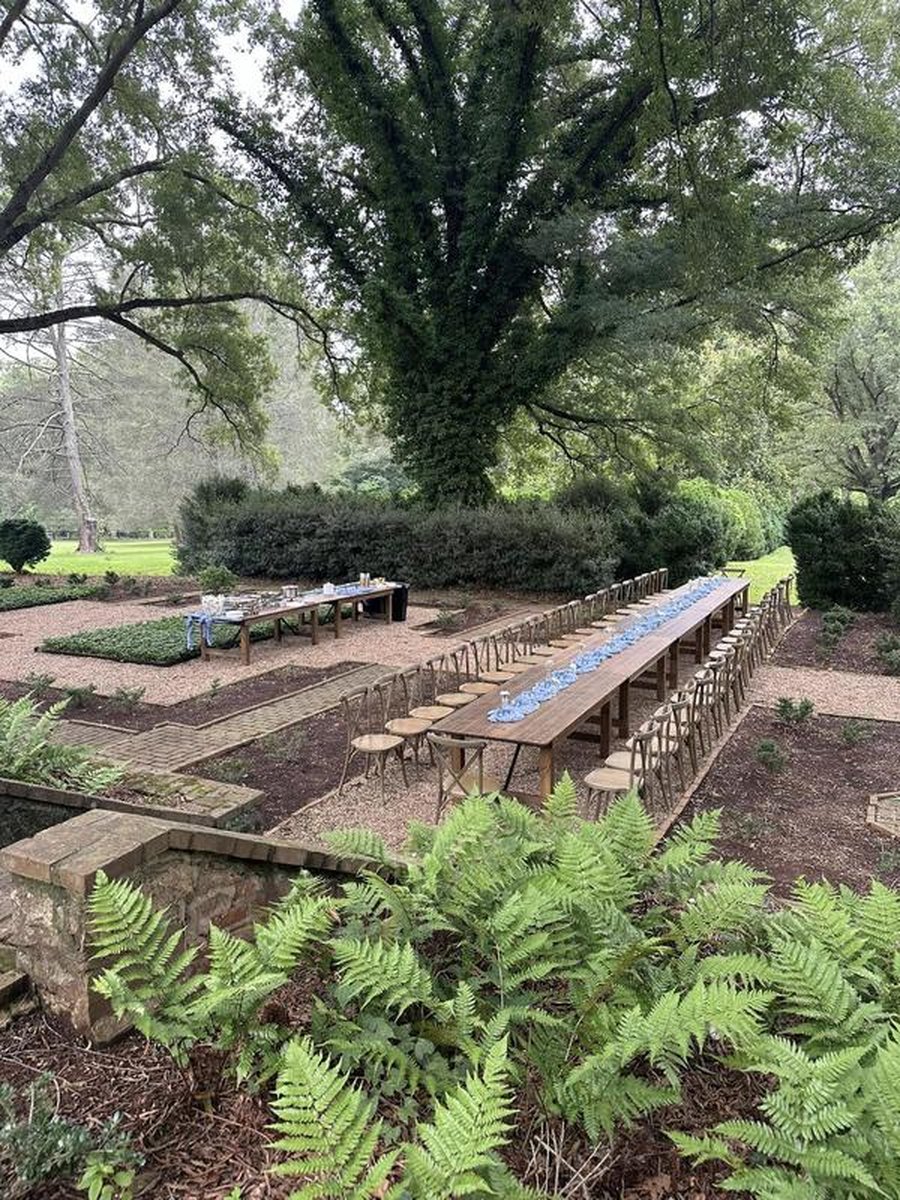 Wide-angle outdoor garden dining setup with long table, ferns, serving station, canopy of mature trees